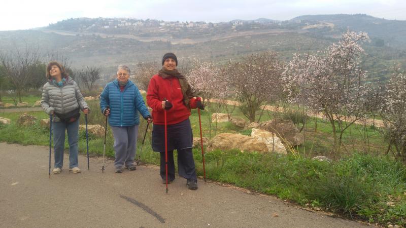 קידום בריאות הליכה נורדית